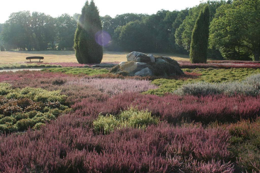 Ferienwohnung Lüneburger Heide Schneverdingen Exterior foto